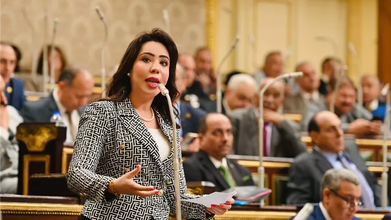 نائبة التنسيقية تعلن موافقتها على الحساب الختامي.. وترصد الإيجابيات والسلبيات