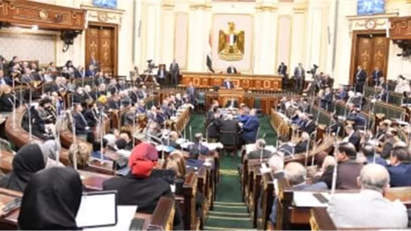 النائب إبراهيم الديب : 3 مليارات لحل مشكلة صرف مستحقي القطن