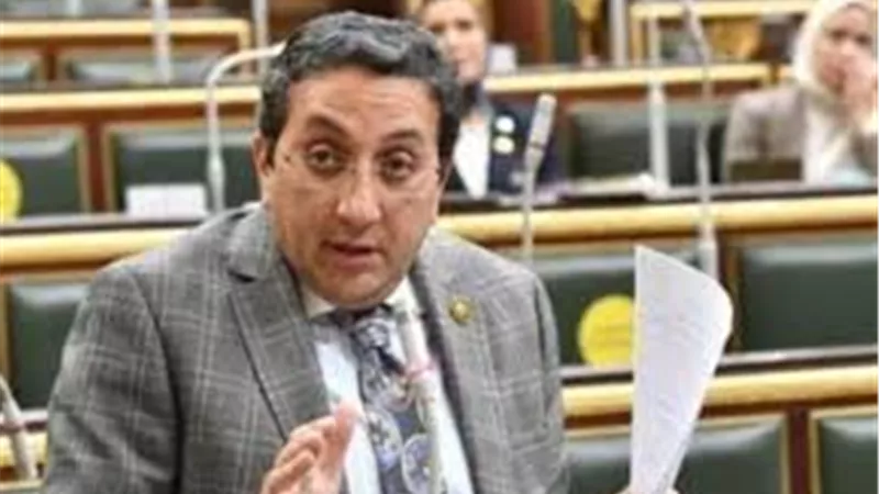 إيهاب رمزى: إدانة شيخ الأزهر للعدوان على إيران صفعة على وجه إسرائيل