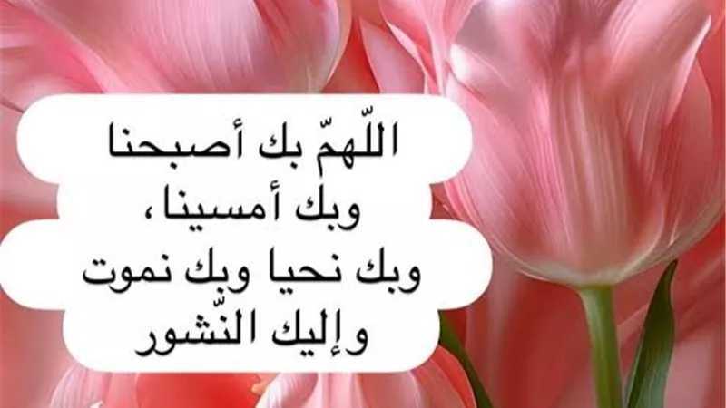 ابدأ صباحك بذكر الله .. أدعية صباحية تشرح الصدر وتجلب البركة والطمأنينة