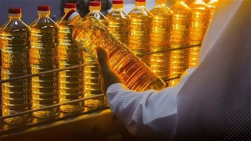 حقيقة ارتفاع أسعار زيوت الطعام في الأسواق.. الغرف التجارية توضح