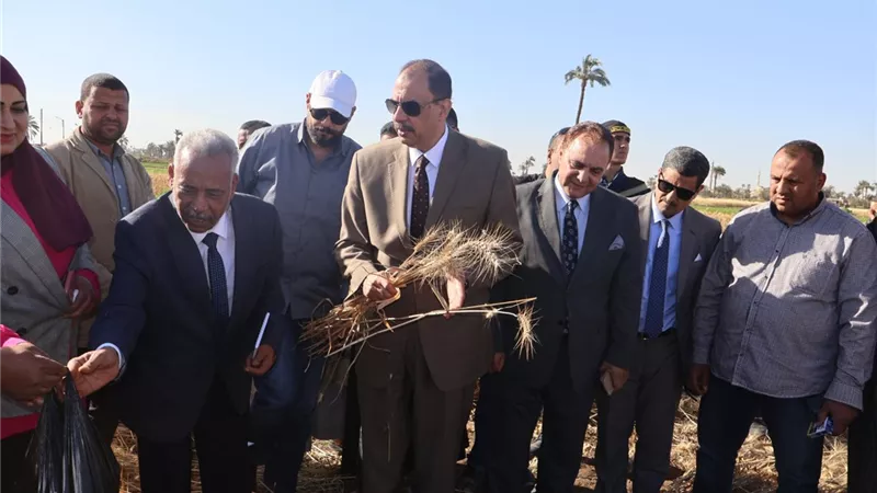 محافظ سوهاج يتفقد موسم حصاد القمح لعام 2025 ويؤكد دعم المزارعين |صور