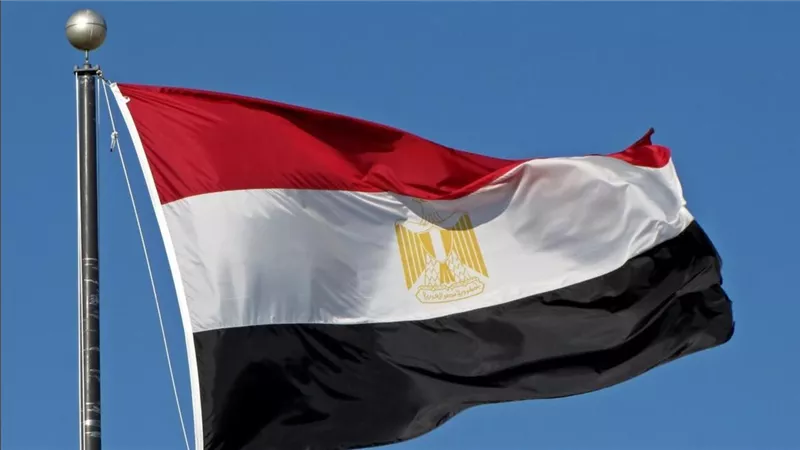 مصر ترحب بخطة الاتحاد الأوروبي لدعم الفلسطينيين وتخصيص 1.6 مليار يورو للتعافي