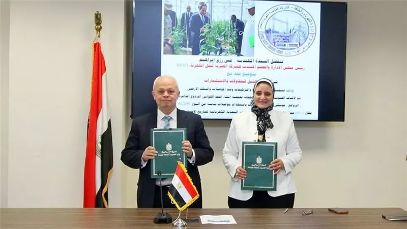 المصرية للنقل توقع عقد ربط توشكى 5 بالشبكة القومية لكهرباء مصر