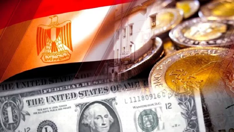 الكيلاني: الدولة واجهت البيروقراطية وخلقت التسهيلات للمستثمرين