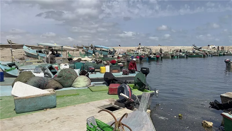 بعد منع 3 شهور.. افتتاح موسم الصيد في بحيرة البردويل 26 أبريل الجاري