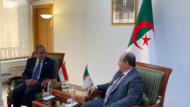 وزير الخارجية يستعرض تقدم مصر في صناعة الدواء مع وزير الصناعة الجزائري