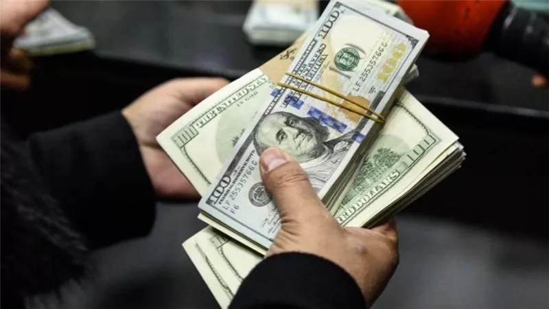 التضخم يتراجع.. تحويلات المصريين تصل لـ20 مليار دولار| انفوجراف