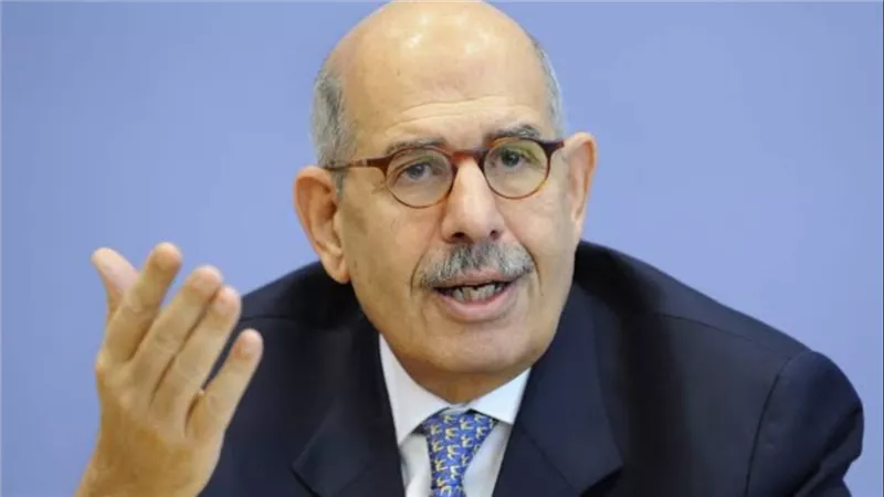 محمد البرادعي: بدون تضامن عربي سنظل ضعفاء أمام العالم