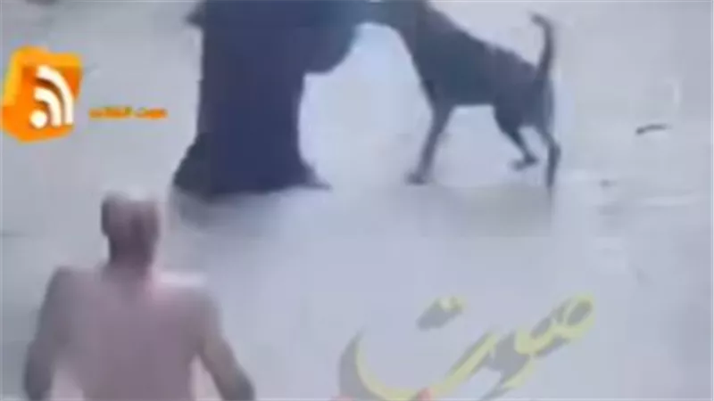60 ثانية رعب .. شخص يطلق كلب شرس على سيدة في الشارع