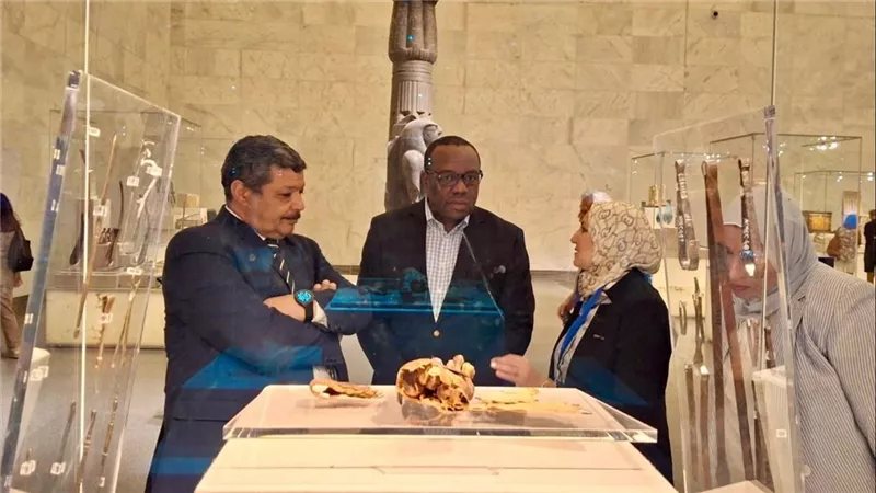 الطاقة الدولية الذرية في ضيافة 