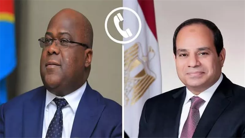 جميل عفيفي: مصر تسعى لتحقيق تعاون مشترك مع دول حوض النيل