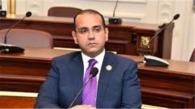 برلمانى: تشغيل المصانع المتعثرة بالشراكة مع القطاع الخاص يعظم الإنتاج 