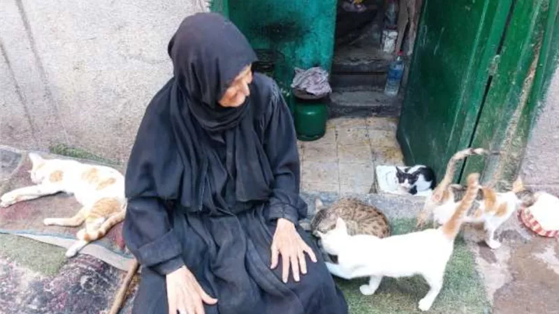 سيدة الإنسانية.. 
