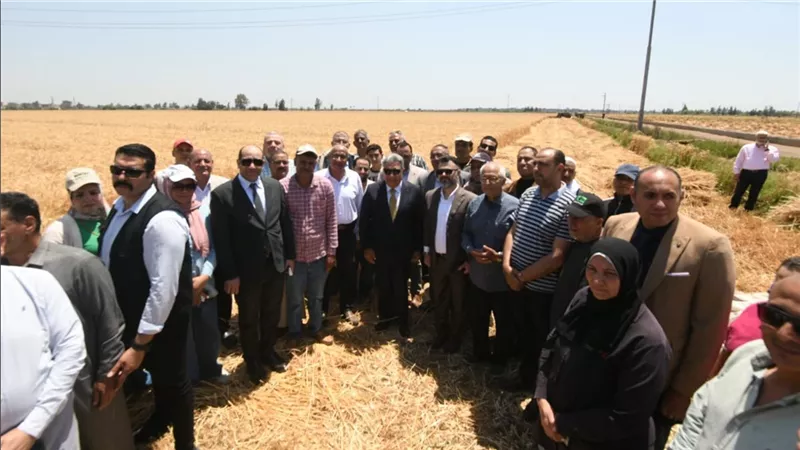 محافظ الدقهلية يطلق موسم حصاد القمح من قرية برج النور الحمص باجا
