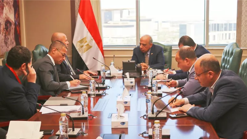 وزير الكهرباء يبحث مع «إنكوم» توفير الطاقة اللازمة لإقامة مركز عالمى للبيانات