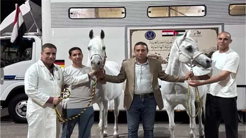 بعد 18 عاما من التوقف.. تصدير شحنة خيول مصرية إلي العراق