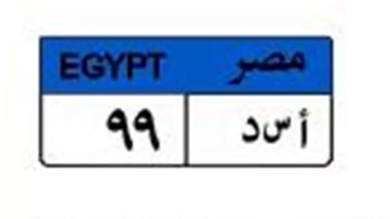 وصلت لمليون جنيه.. الصراع يشتعل على لوحة «أ س د 9 9»