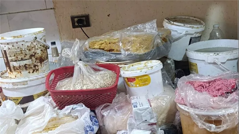 مربي وجبن وخميرة.. ضبط مخبز إفرنجي يستخدم مواد منتهية الصلاحية ببورسعيد 
