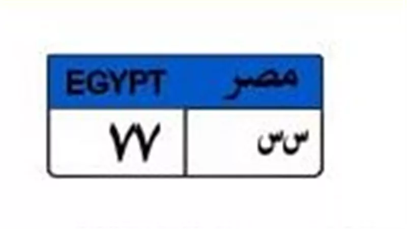 «س س 77» بـ 525 ألف جنيه.. صراع ثنائي على لوحة سيارة مميزة