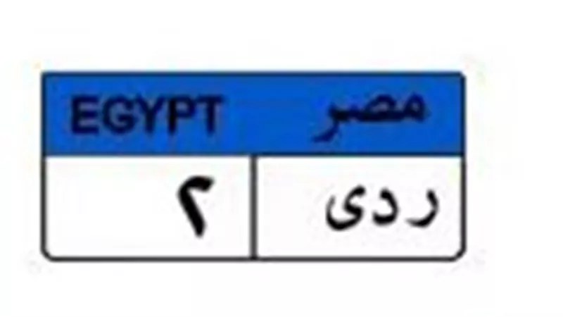 قبل غلق المزاد.. سعر لوحة سيارة «ردي2» يصل إلى 700 ألف جنيه