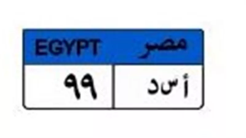 بمليون و200 ألف جنيه.. «أسد 99» تتصدر مزادات لوحات السيارات المميزة