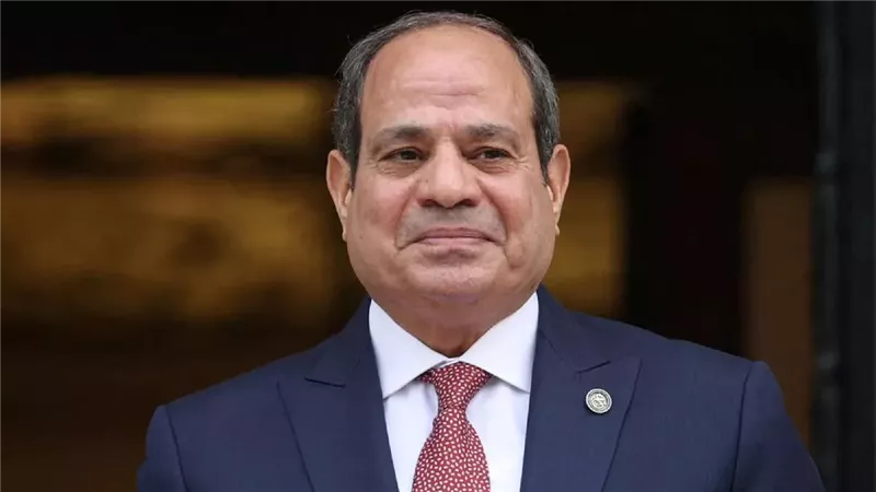 الرئيس السيسي: مصر تستورد 14 إلى 17 مليون طن من الأعلاف سنويًا بخلاف القمح