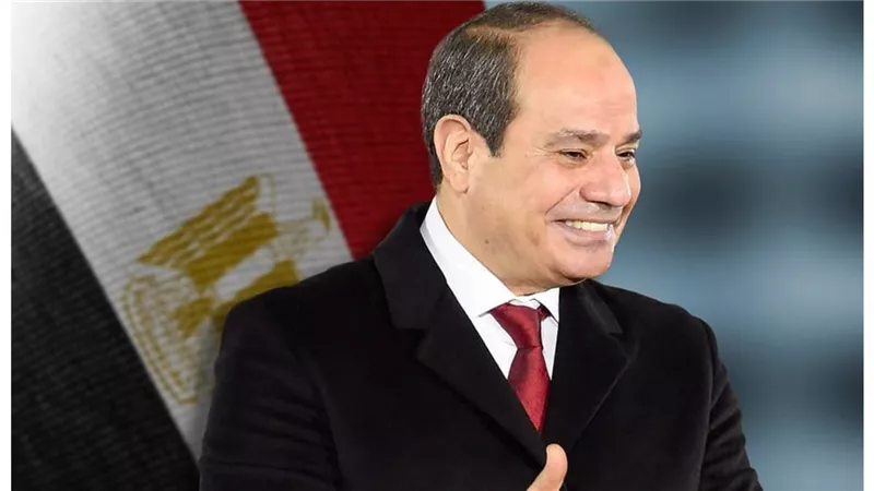 الرئيس السيسي: إنشاء محطات لإنتاج الكهرباء بطاقة إجمالية حوالي 2000 ميجاوات