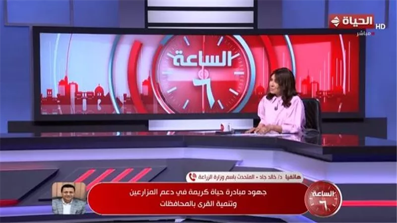 الزراعة: فيديو «رش الطماطم» شائعة قديمة.. ولا فرق بين «المحلي» والمصدر للخارج