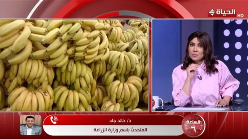الزراعة: تطوير 298 مركزًا إرشاديًا ضمن «حياة كريمة» لدعم الفلاح المصري