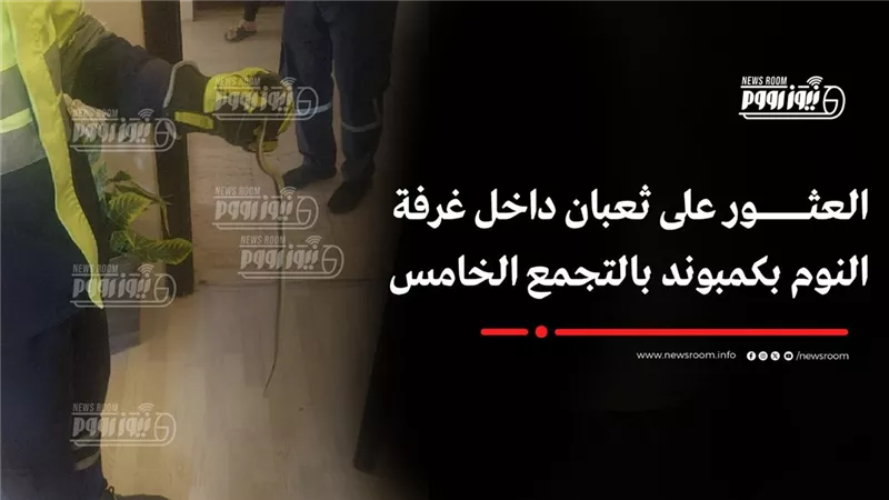 العثور على ثعبان داخل غرفة النوم بكمبوند بالتجمع الخامس