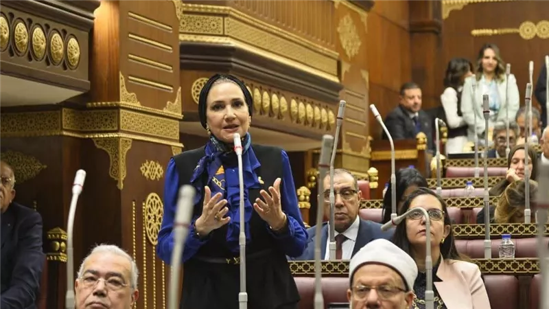 رانية صدقي: المعاش حق أصيل لا يحتمل التأخير.. ومطالبات بحل عاجل للأزمة 