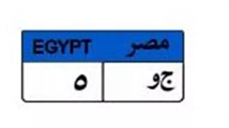 «ج و 5» تشعل مزاد اللوحات المميزة.. والسعر يصل لـ 450 ألف جنيه