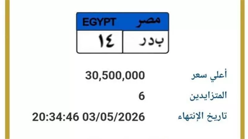 لوحة «بدر 14» بـ 30 مليون جنيه.. سخرية وانتقادات تشعل مواقع التواصل بسبب سعرها