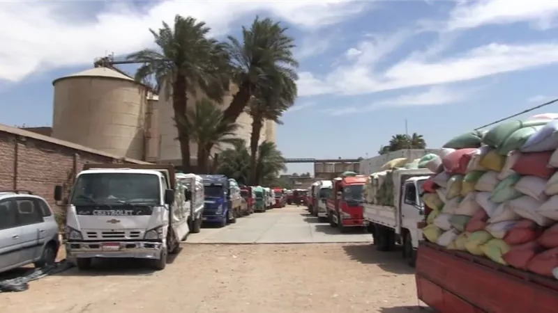 سوهاج تستقبل 72 ألف طن قمح منذ بدء موسم التوريد        
