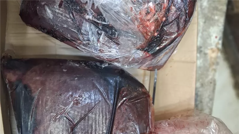 محافظ أسيوط: ضبط 60 كيلو جرام فراخ وكبدة غير صالحة للاستهلاك الآدمي  
