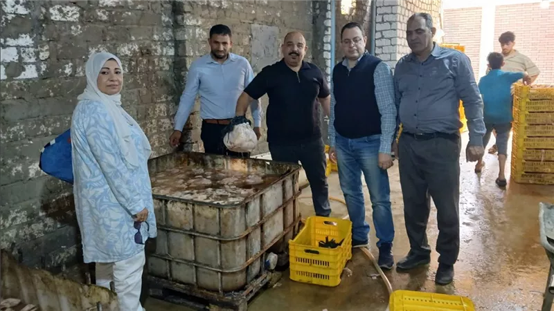 خلال يومين.. الجيزة: ضبط 3 أطنان دواجن فاسدة وبطاقات تموينية ودقيق بلدي مدعم