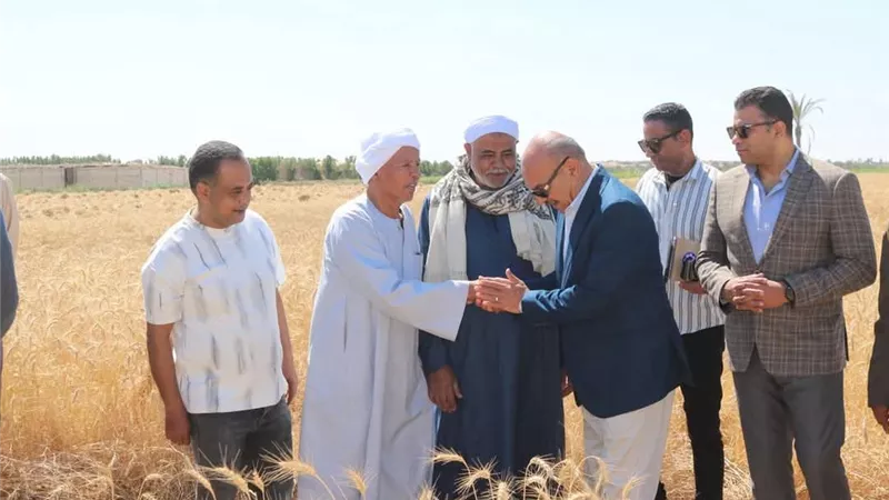 محافظ السويس يشهد احتفالية حصاد القمح ويؤكد الدعم الكامل للمزارعين