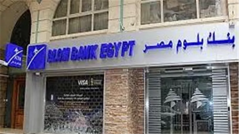 موظف بنك بلوم مصر يستأنف على حكم المؤبد بعد استيلائه على 195 مليون جنيه