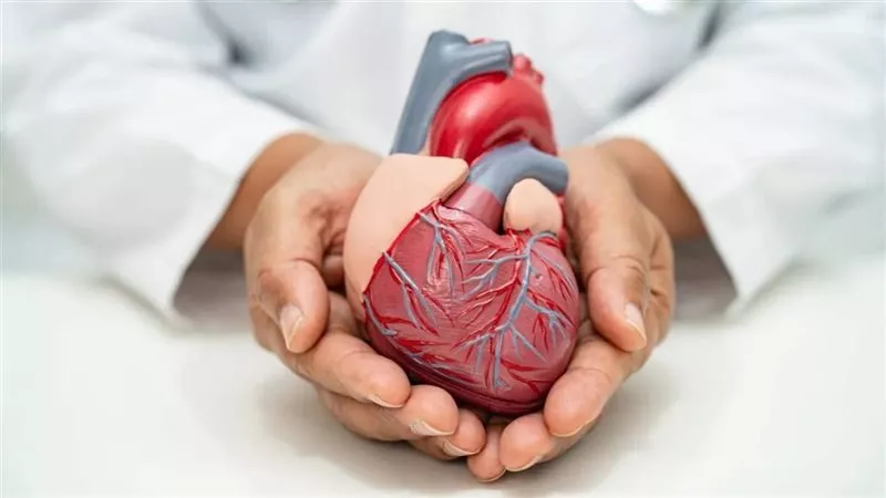 من 3 ملايين لـ482 جنيها|التأمين الصحي ينقذ شابا بعملية قلب معقدة في جنوب سيناء