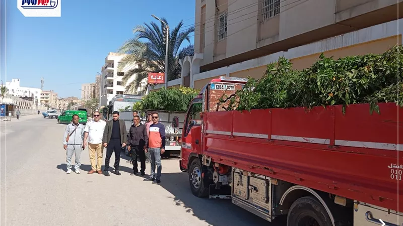 محافظ الفيوم يتابع استلام دفعة جديدة من الأشجار بالمدارس ومراكز الشباب