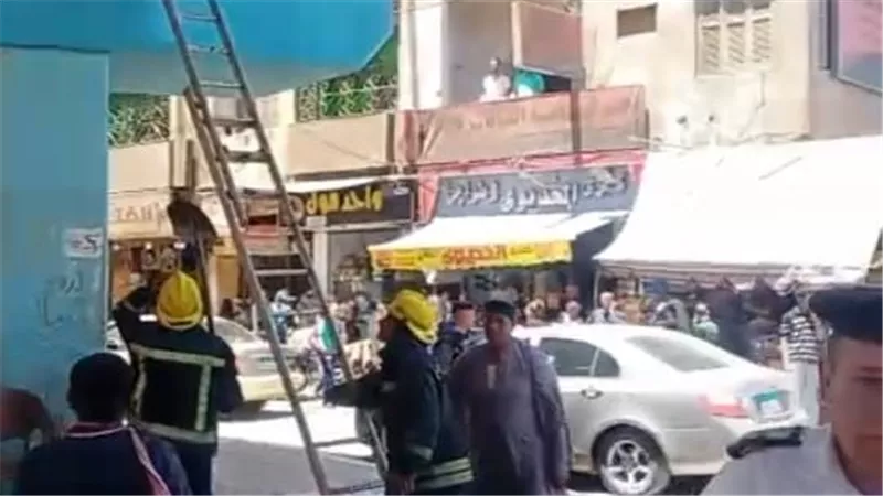 بلاغ من فتاة ينقذ قطة أعلى كوبري نجع حمادي.. تحرك عاجل للأمن والحماية المدنية