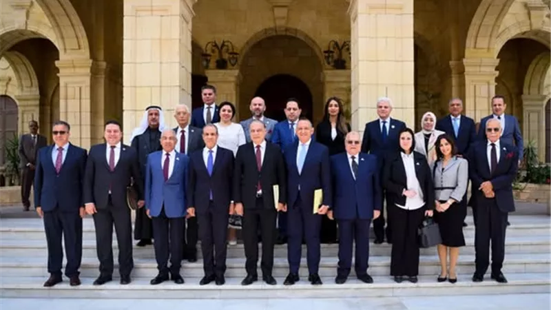 وزير الخارجية أمام الشيوخ: مصر تتحرك لوقف التصعيد في المنطقة ودعم الاستقرار