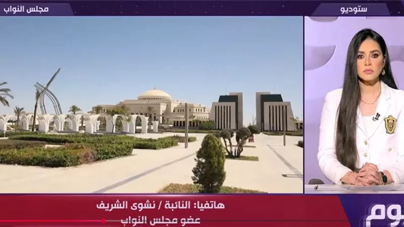 «البرلمان لم يطلع بعد على نص القانون».. نائبة تكشف مفاجآت جديدة