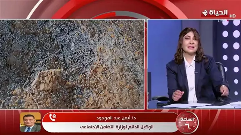 وكيل التضامن: مغادرة أول أفواج حجاج الجمعيات الجمعة المقبل وسط استعدادات قصوى