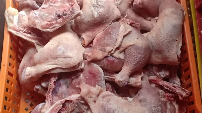  إحباط محاولة تهريب طن و100 كجم دواجن فاسدة قبل بيعها بأسواق بورسعيد 