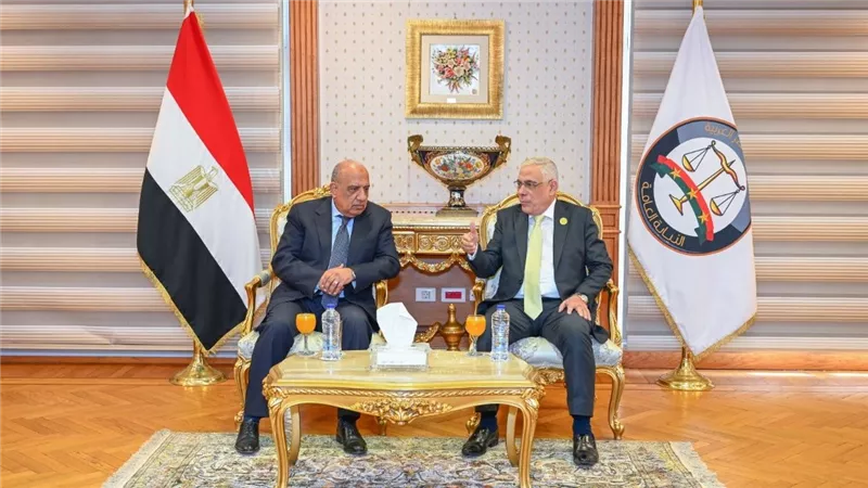 وزير الكهرباء والنائب العام يشهدان توقيع بروتوكول تعاون لتطوير الكوادر القانون