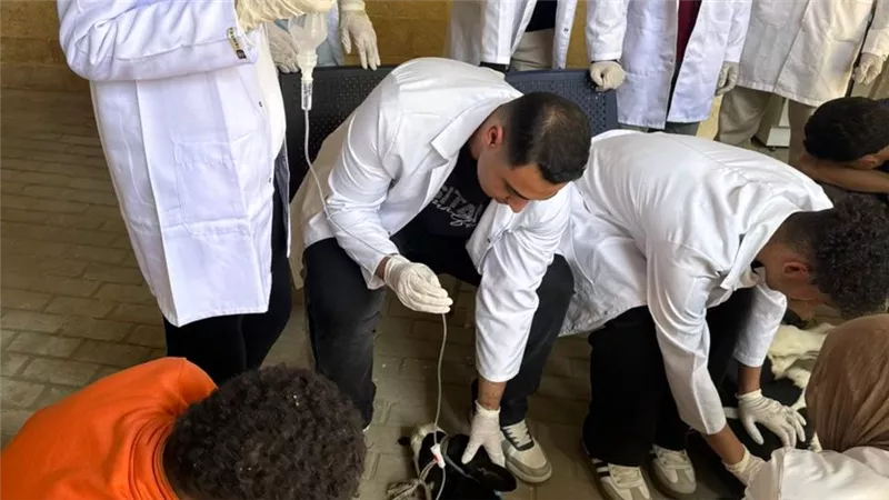 خدمات بيطرية متكاملة وتدريب طلابي داخل مستشفى المنوفية الأهلية التعليمي
