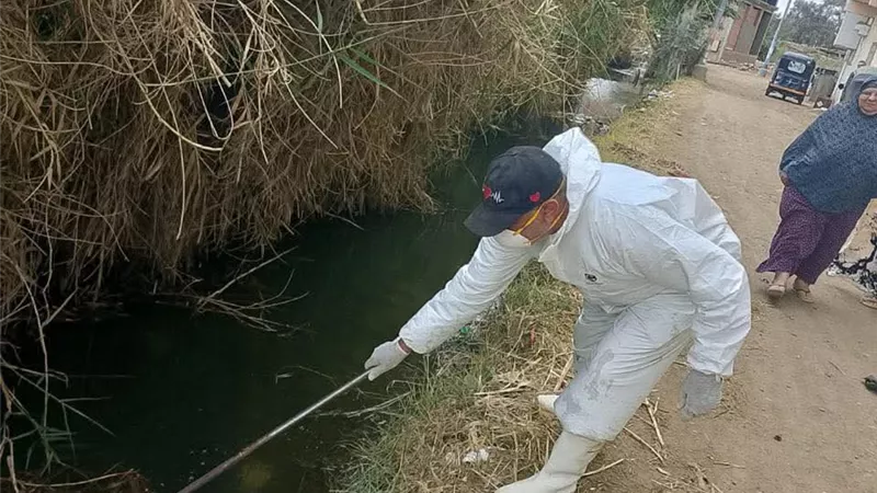 صحة دمياط تنفذ حملة مكبرة لمكافحة البعوض والذباب بمركز كفر سعد