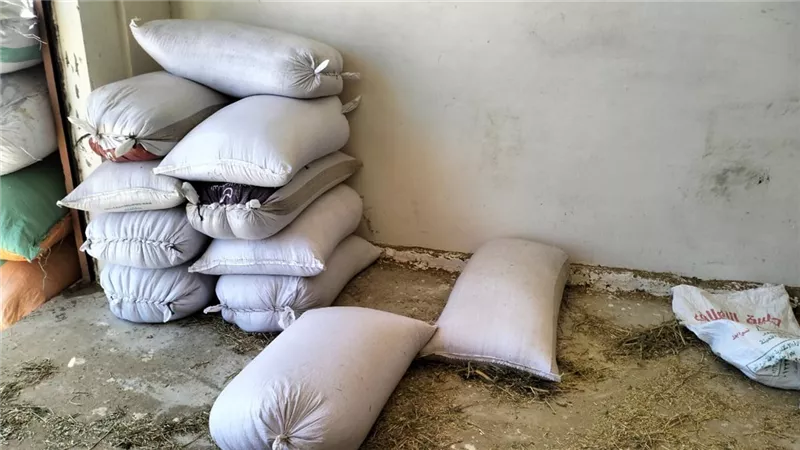 ضبط قمح وسلع منتهية الصلاحية في حملات تموينية بالإسكندرية